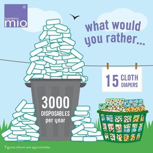 Environmental Impact and Sustainability Considerations
