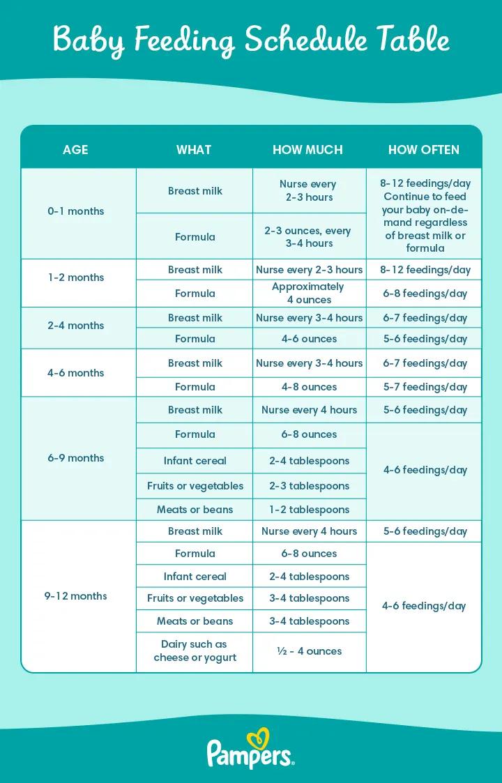 Expert Tips for Creating a Stress-Free Feeding Routine