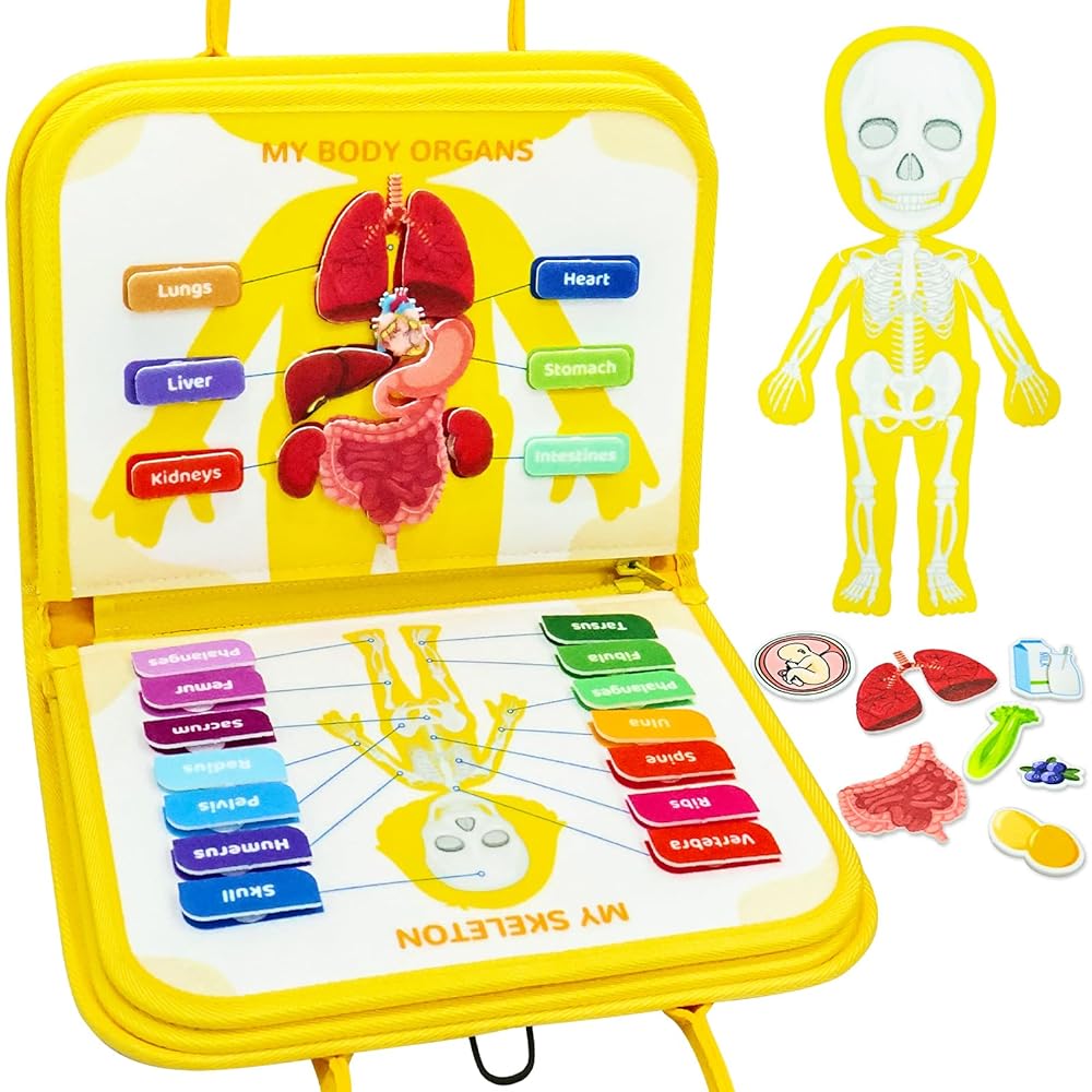 Engaging Anatomy Learning for Toddlers: Interactive Busy Book Fun