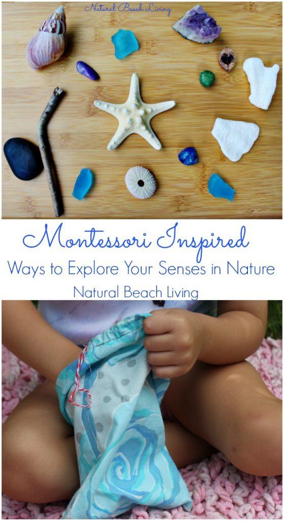 Choosing Natural Materials for Sensory Exploration