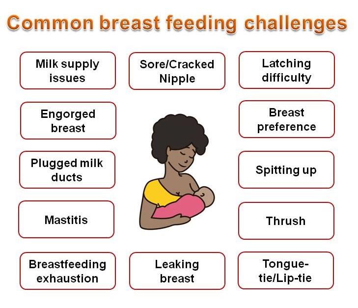 Navigating Feeding Challenges with Confidence and Care